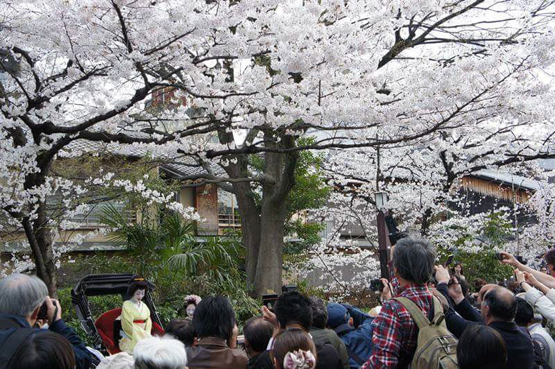 received_1500054606671386