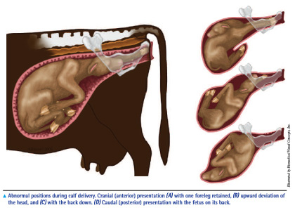 aaaaaaaaaaaaaaaaaaaaaaaaaaaaaaaaa